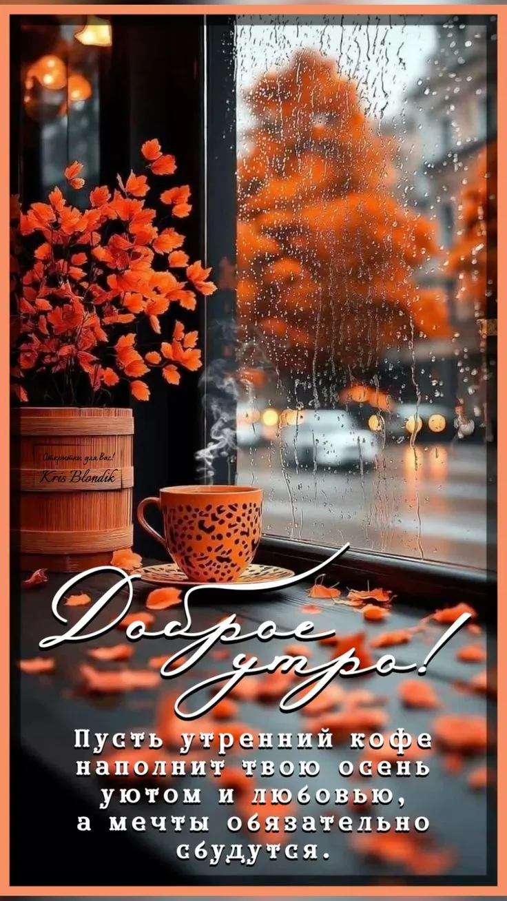 ❤️🤗❤️🌷