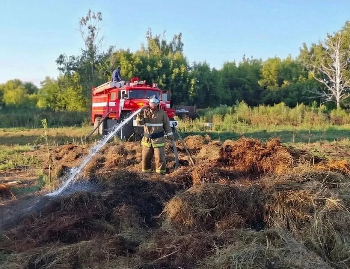🌾 Урожай убираем – спасаем сено и корма!