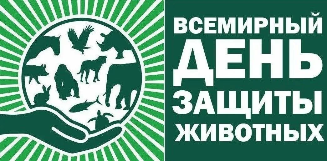 🐕  🐈‍⬛ Всемирный день защиты животных был учреждён на Международном