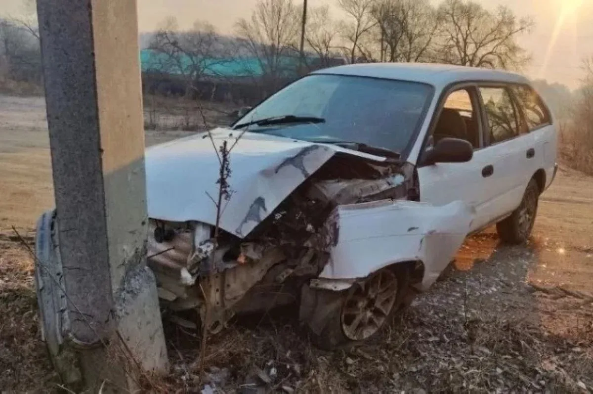 В ЕАО пьяный водитель убил пассажира на дороге  В Еврейской автономной области 27-летний мужчина пре