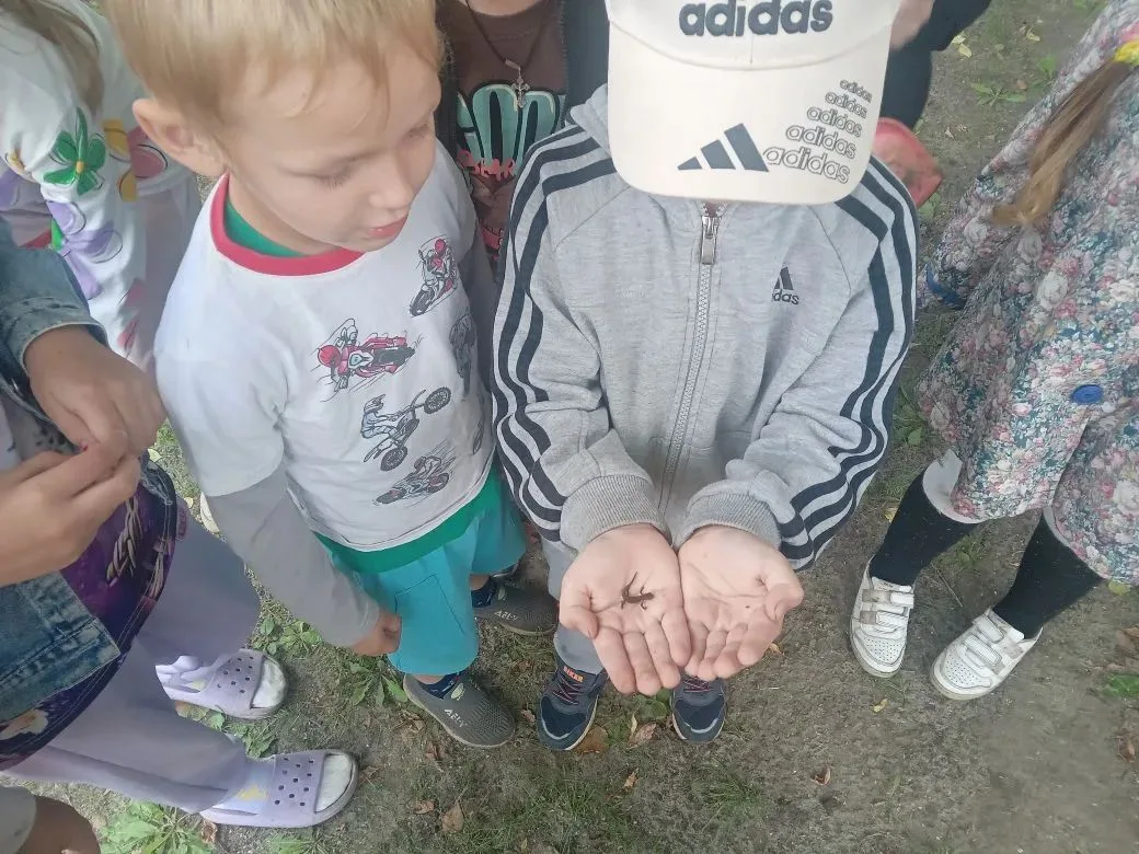 🐾Сегодня дети нашли на участке  маленькую ящерицу. 🦎 Они долго и с интересом её  расс...
