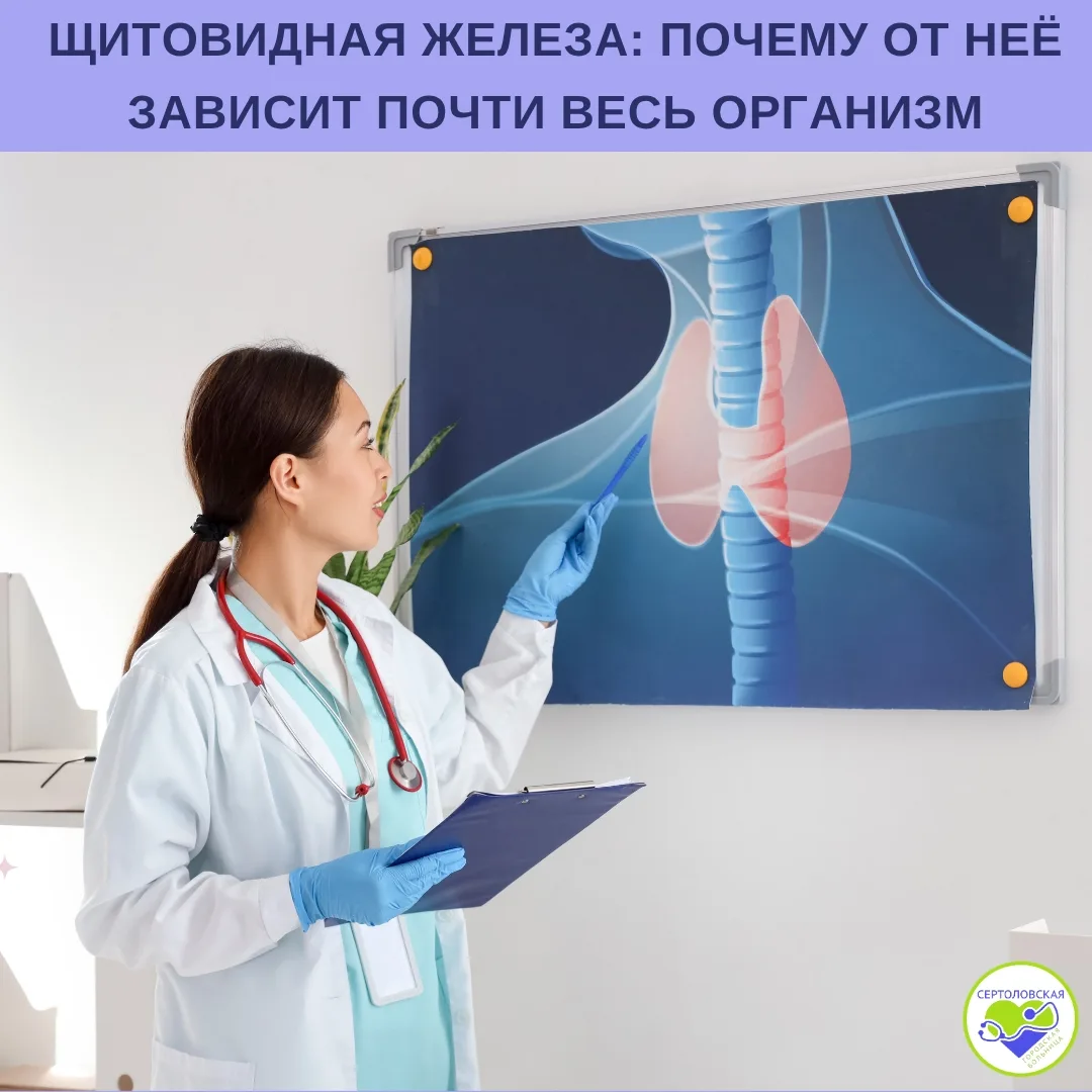 🦋 Щитовидная железа — маленький орган, от которого зависит работа почти всего организма.