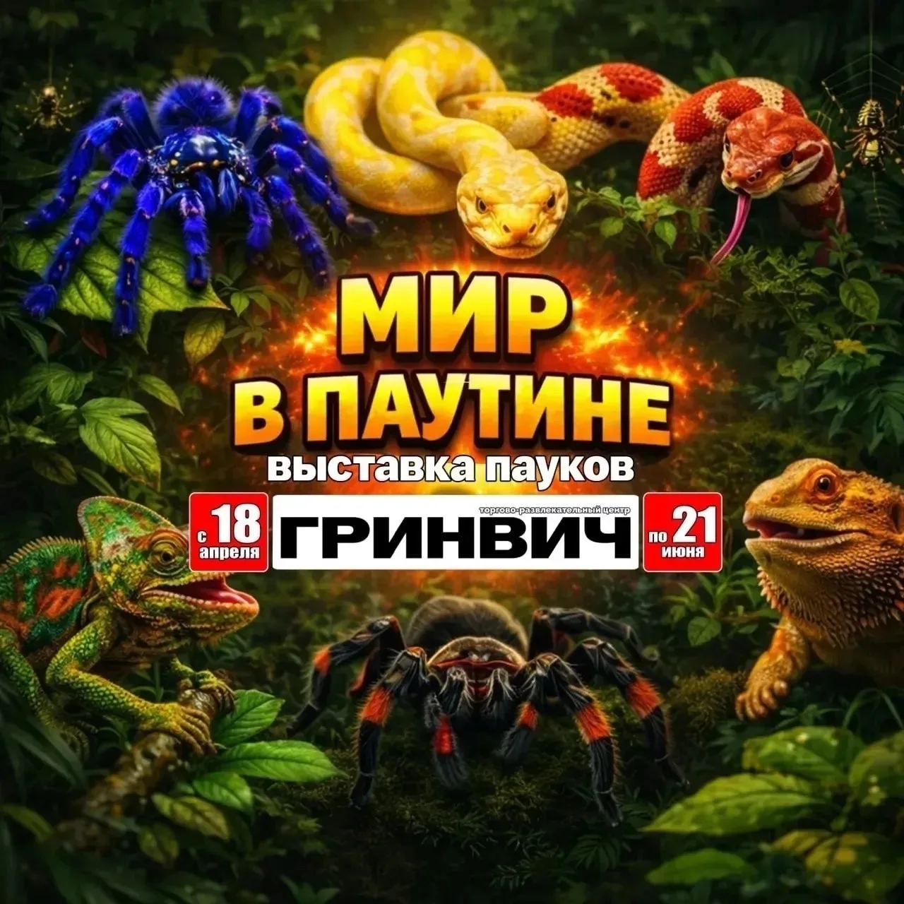 Екатеринбург! Пауки-птицееды, рептилии и амфибии в ТРЦ «Гринвич»! 18 апреля — 21 июня. 0+

🎁 Разыгр