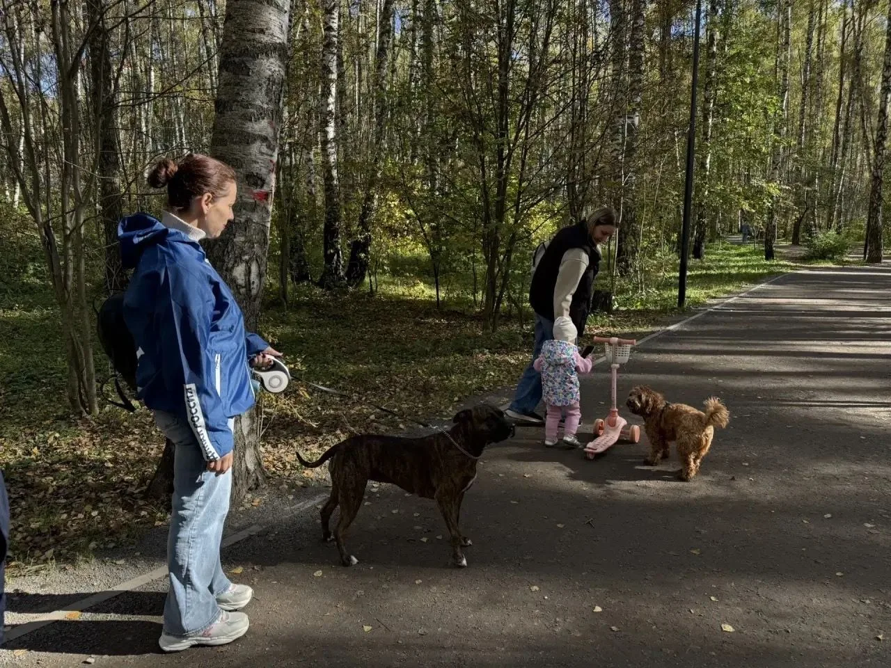 В парке «Городской лес» прошла совместная прогулка с собакой участника СВО в рамках про...
