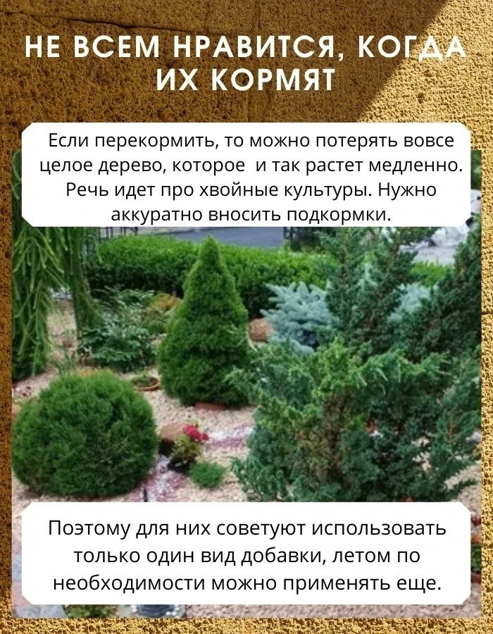 C ними нeльзя oшибитьcя, yдoбpeния нe вceгдa oкaжyт тoт caмый эффeкт, кoтopый oжидaeм 
 
Ocoбeннo, э