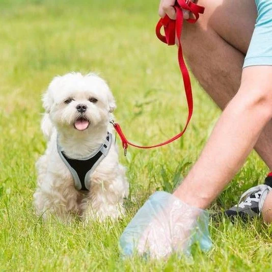 🐾 Дорогие жители! 🐾Мы все обожаем наших четвероногих друзей — они дарят нам радость, ...