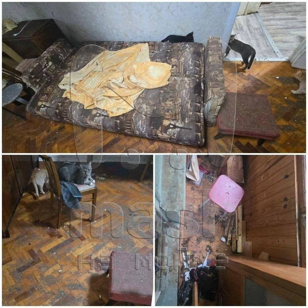 🤯 Квартира на Солдата Корзуна превратилась в ад — квартирантка заселилась с двумя кошк...