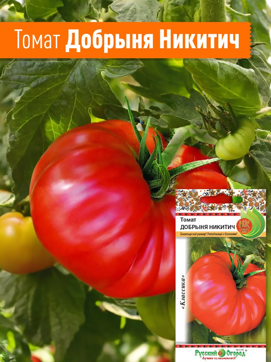 Не просто томаты для теплицы. Это – ваша коллекция вкусов на весь сезон! 🏡  Хорошая теплица – как от