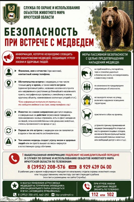 Памятка при встрече с медведем‼️просьба ознакомиться🙏