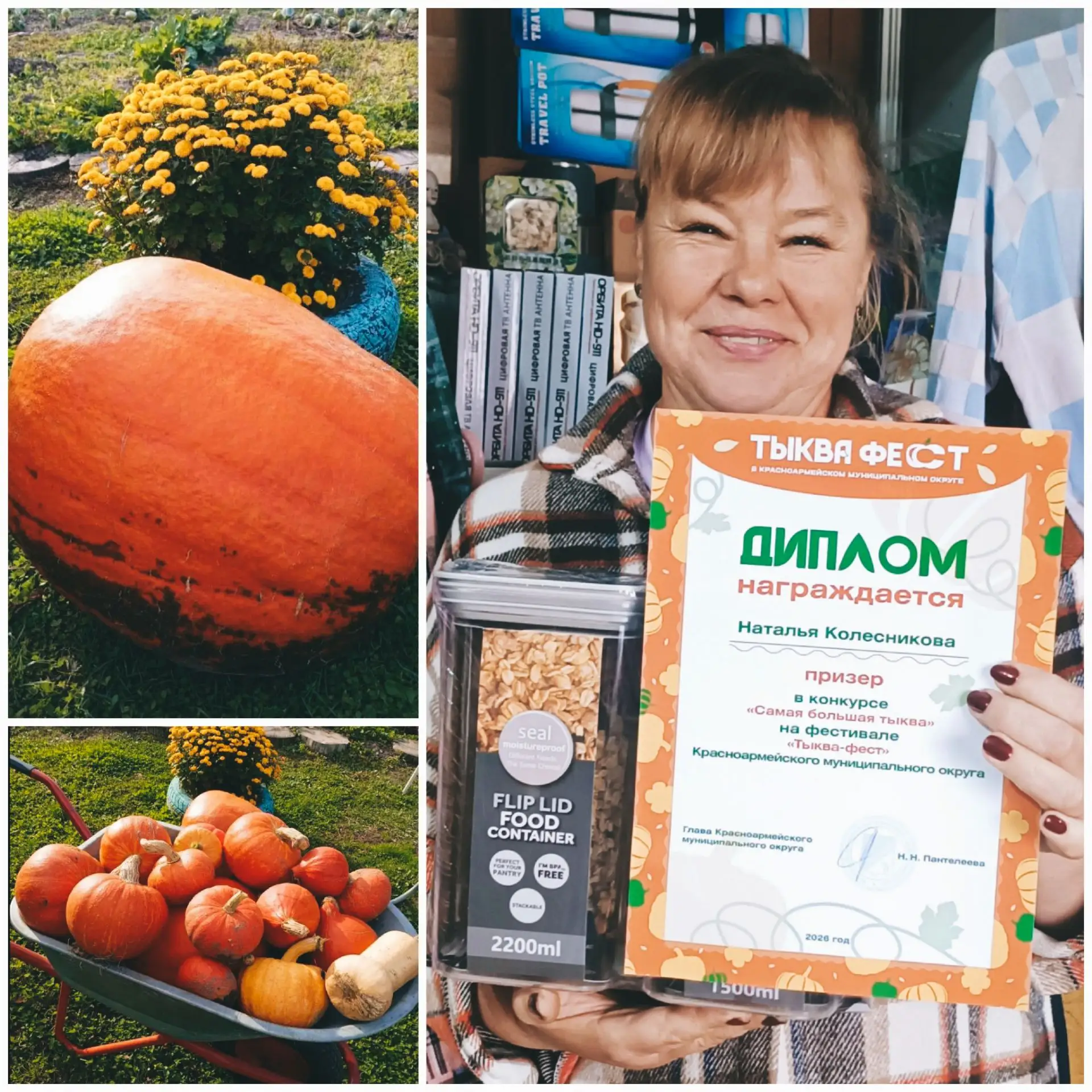 По итогам прошедшего в нашем округе конкурса на самую большую и необычную тыкву призёро...