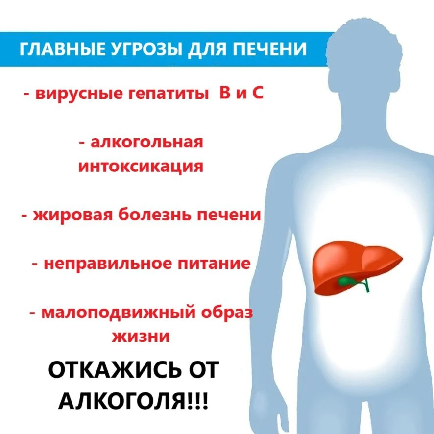 🇷🇺 28 июля - Всемирный день борьбы с гепатитом!

❗️ Главные угрозы для печени:

- Вирусные гепатит