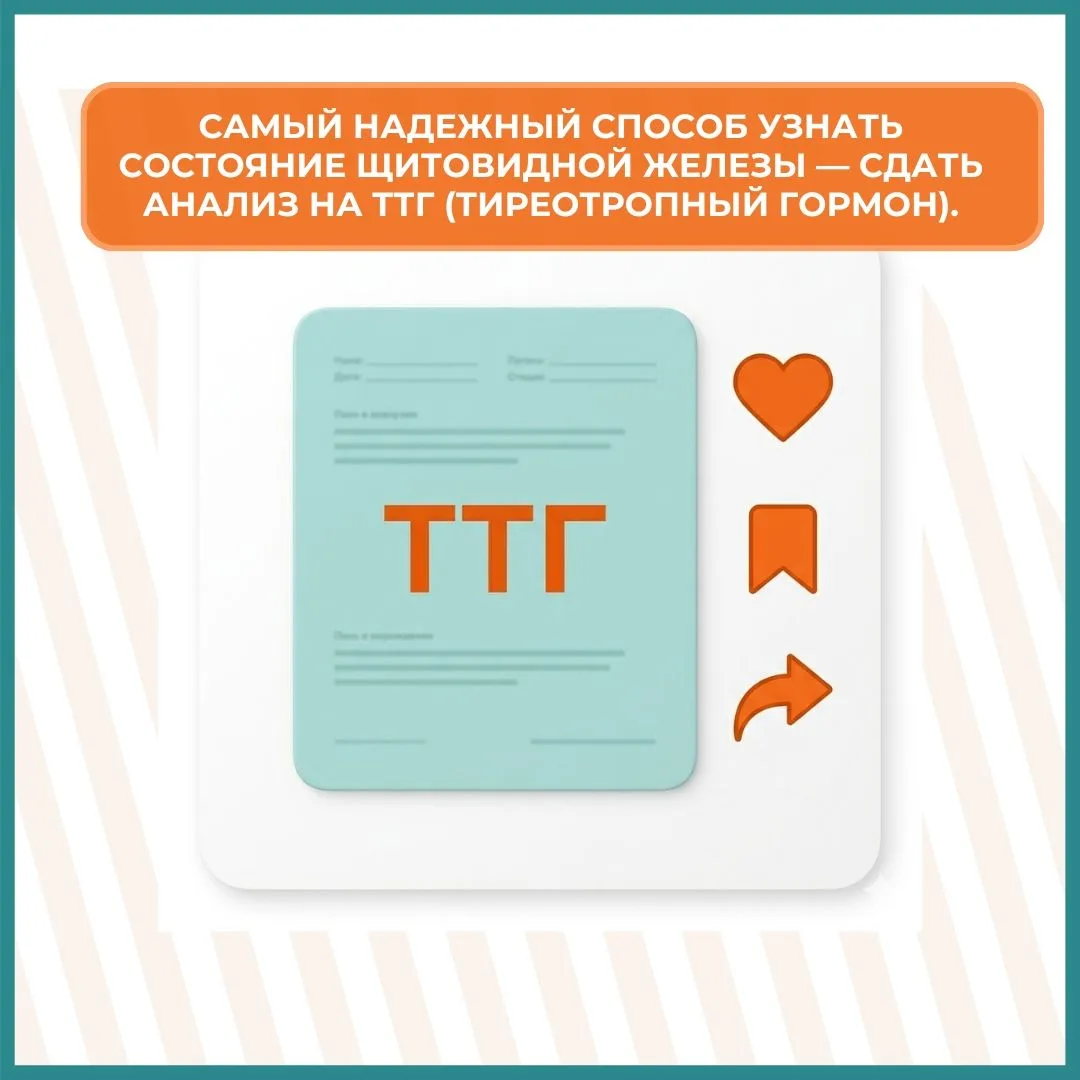 Сегодня, 25 мая, отмечается Всемирный день щитовидной железы. Часто мы вспоминаем о ней...