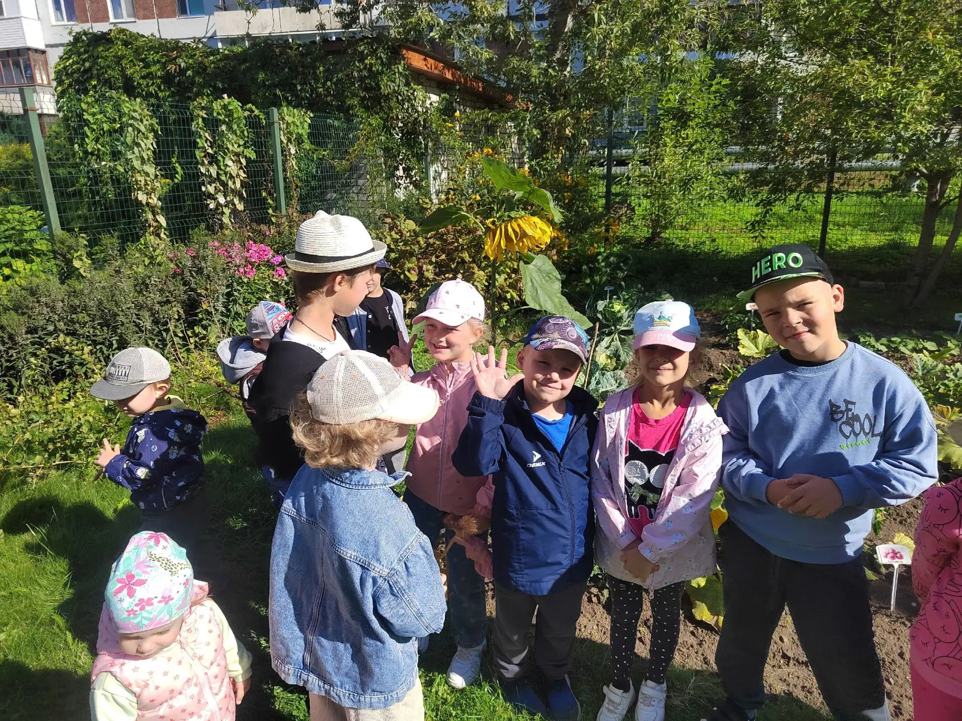 Ни дня без праздника!   12 августа - День подсолнуха 🌻