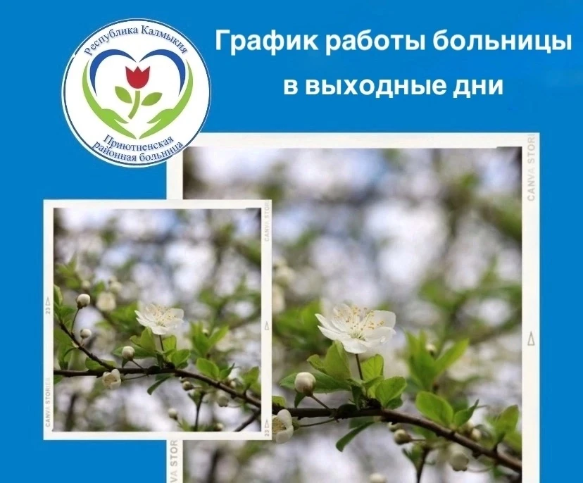 Дорогие пациенты! Обращаем ваше внимание на график работы поликлиники в ближайшие выходные:
 
➡️11 и