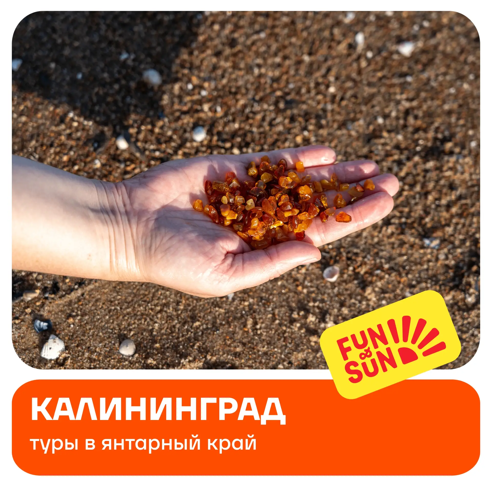 За янтарем — в Калининград 😍