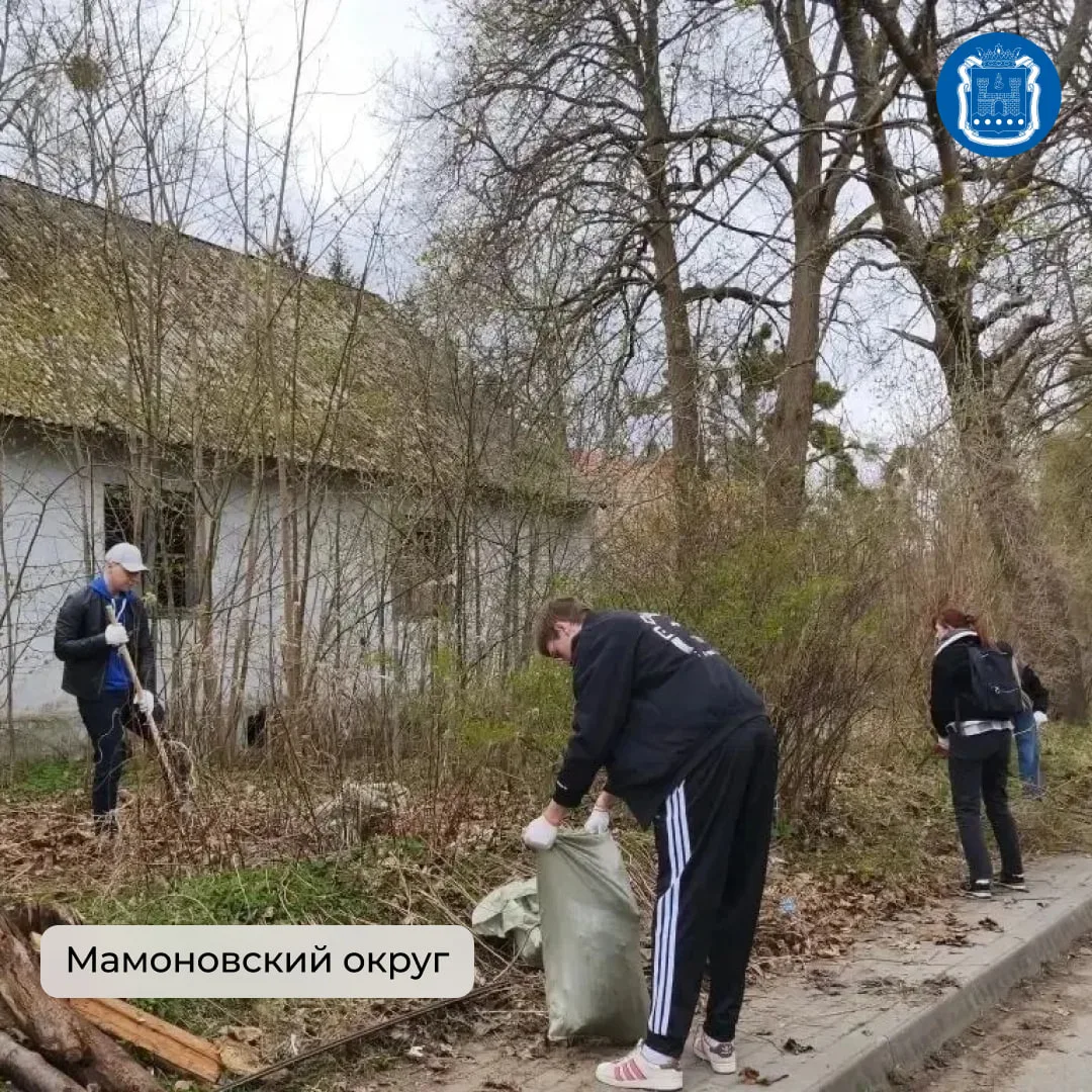 Во всех муниципалитетах области вновь прошли субботники.  Больше семи тысяч жителей убирались в парк