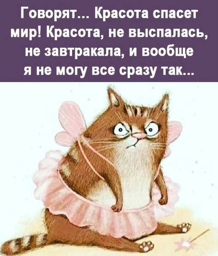 Подпишись, чтобы не потерять👇