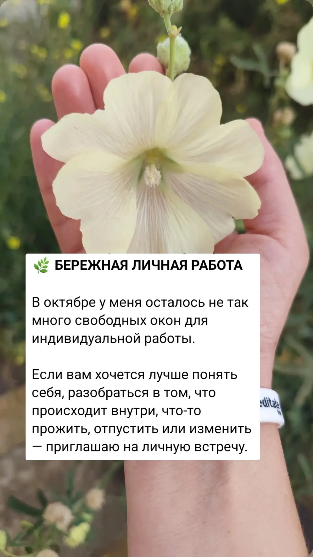 Про индивидуальную работу с вами🩷