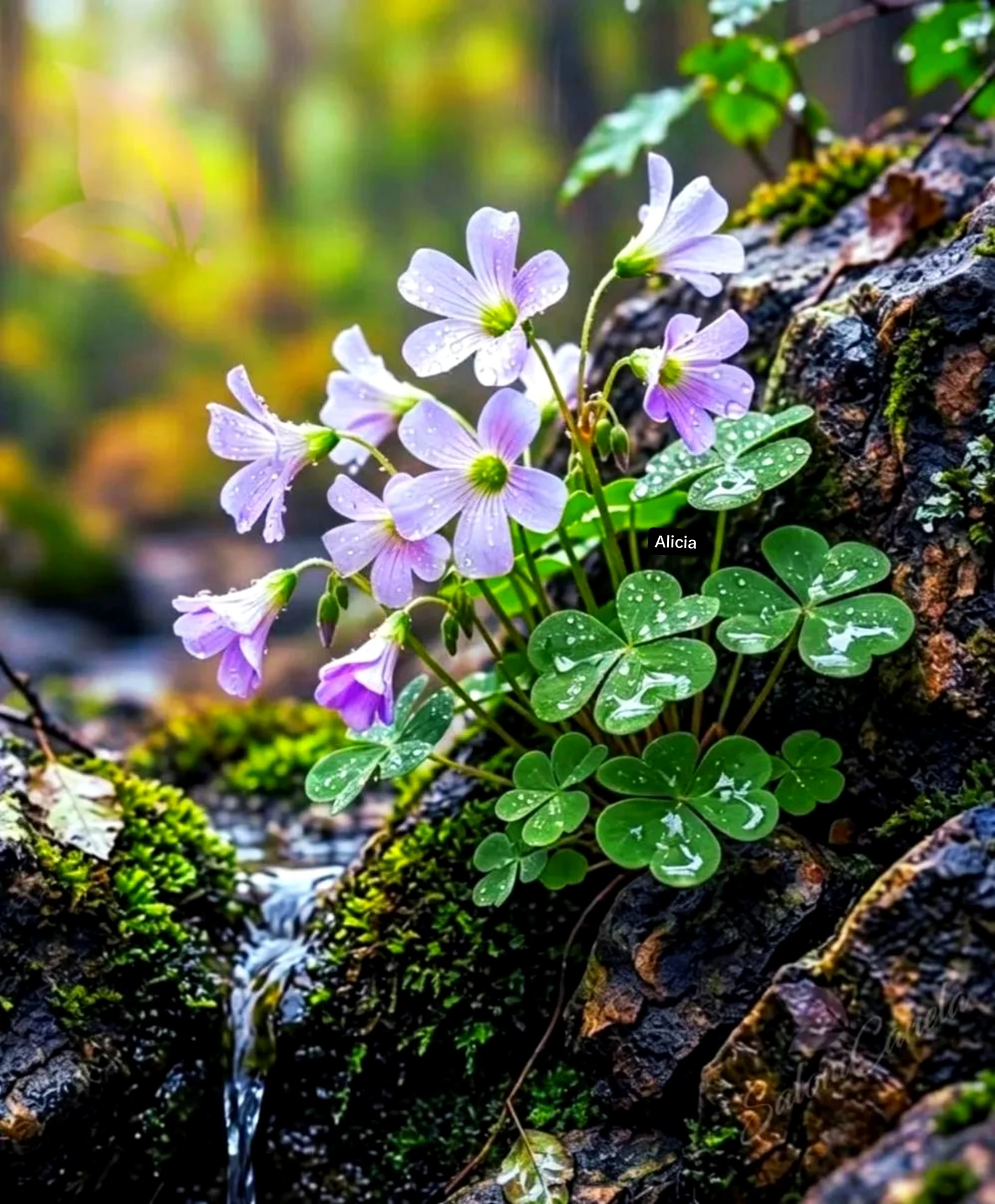 Фото