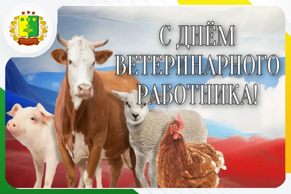 Поздравление временно исполняющего полномочия главы Шемуршинского муниципального округа...