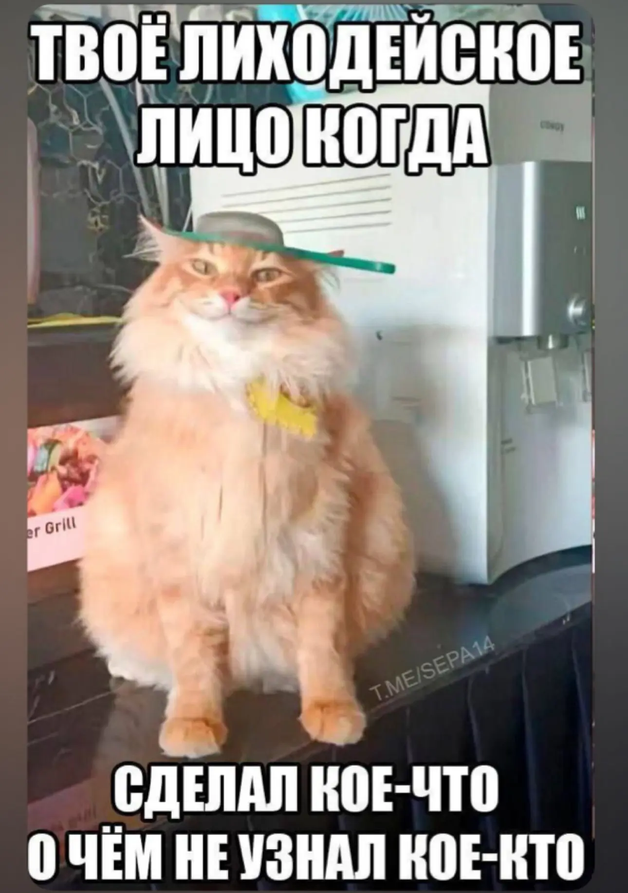 Найди три отличия, ну или хотя бы одно…🤣🤣🤣