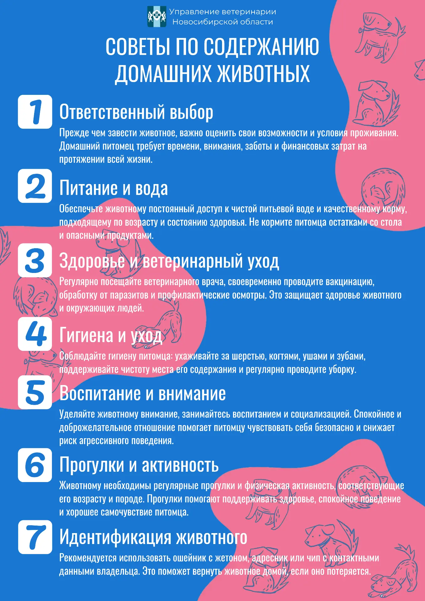 В жизни необходимо внимательно и ответственно относится не только к людям, но и к животным. Ознакомь