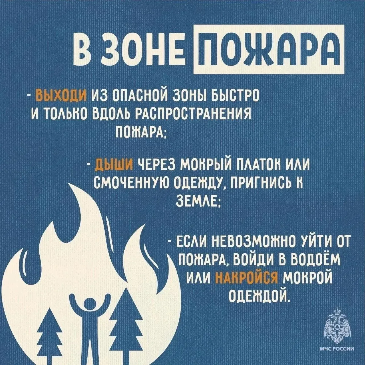 #МордовскийМуниципальныйОкруг #безопасность #внимание ❗На территории области действует особый   прот