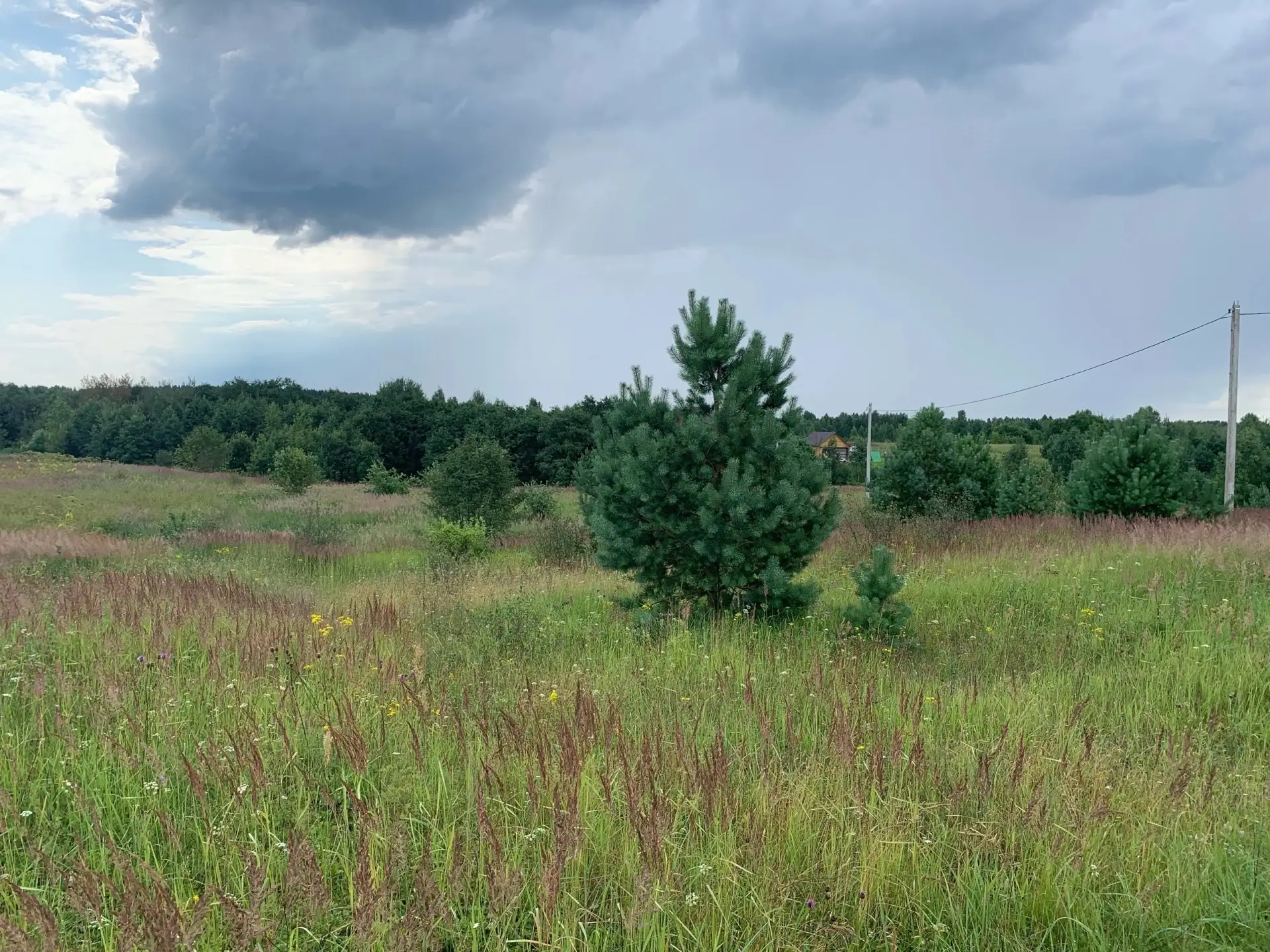 Продается земельный участок!

📍 Адрес: Тверская область, Торопецкий район, г. Торопец, переулок Спа