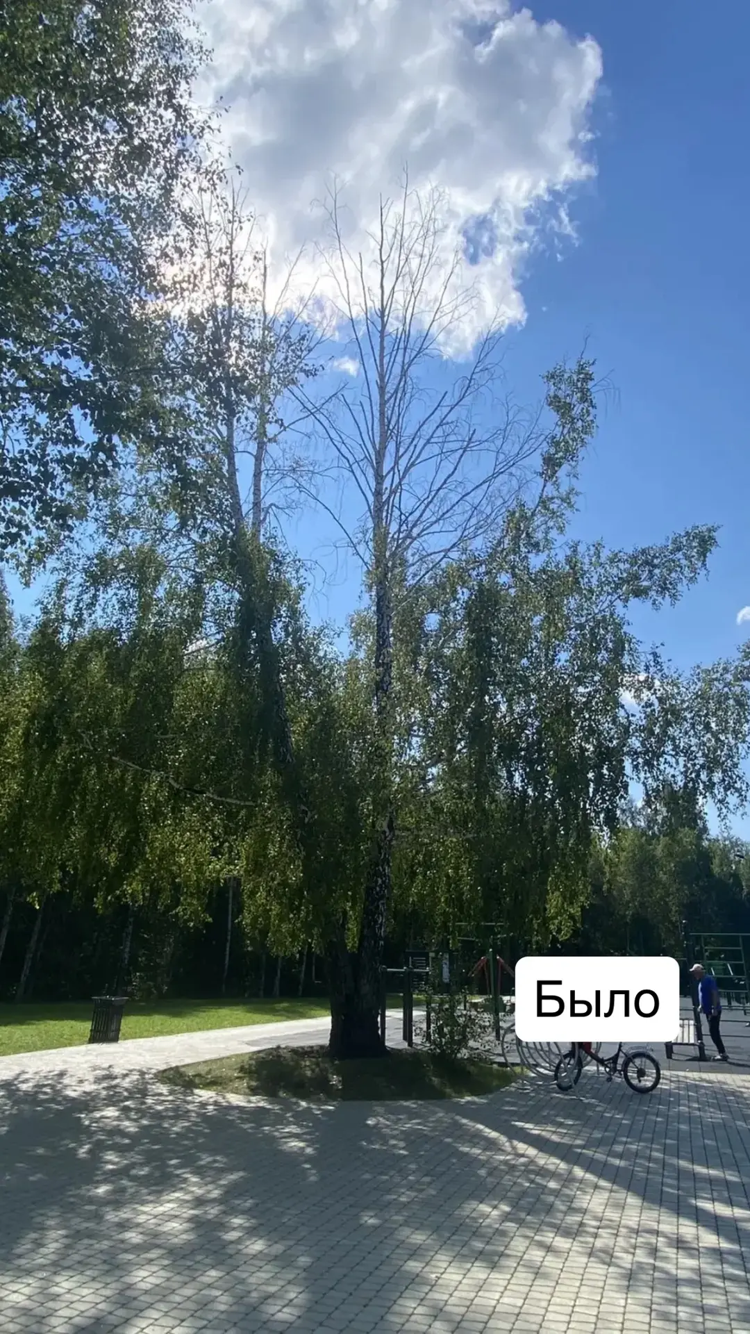 🌲 Вернем уют на финише вместе!