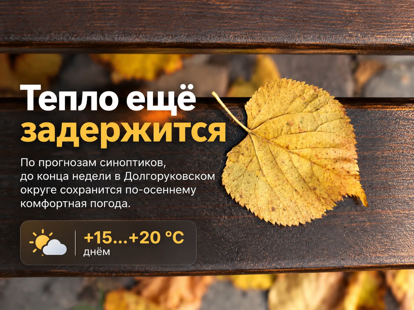 Похоже, октябрь решил ещё немного побыть сентябрём. 🍂