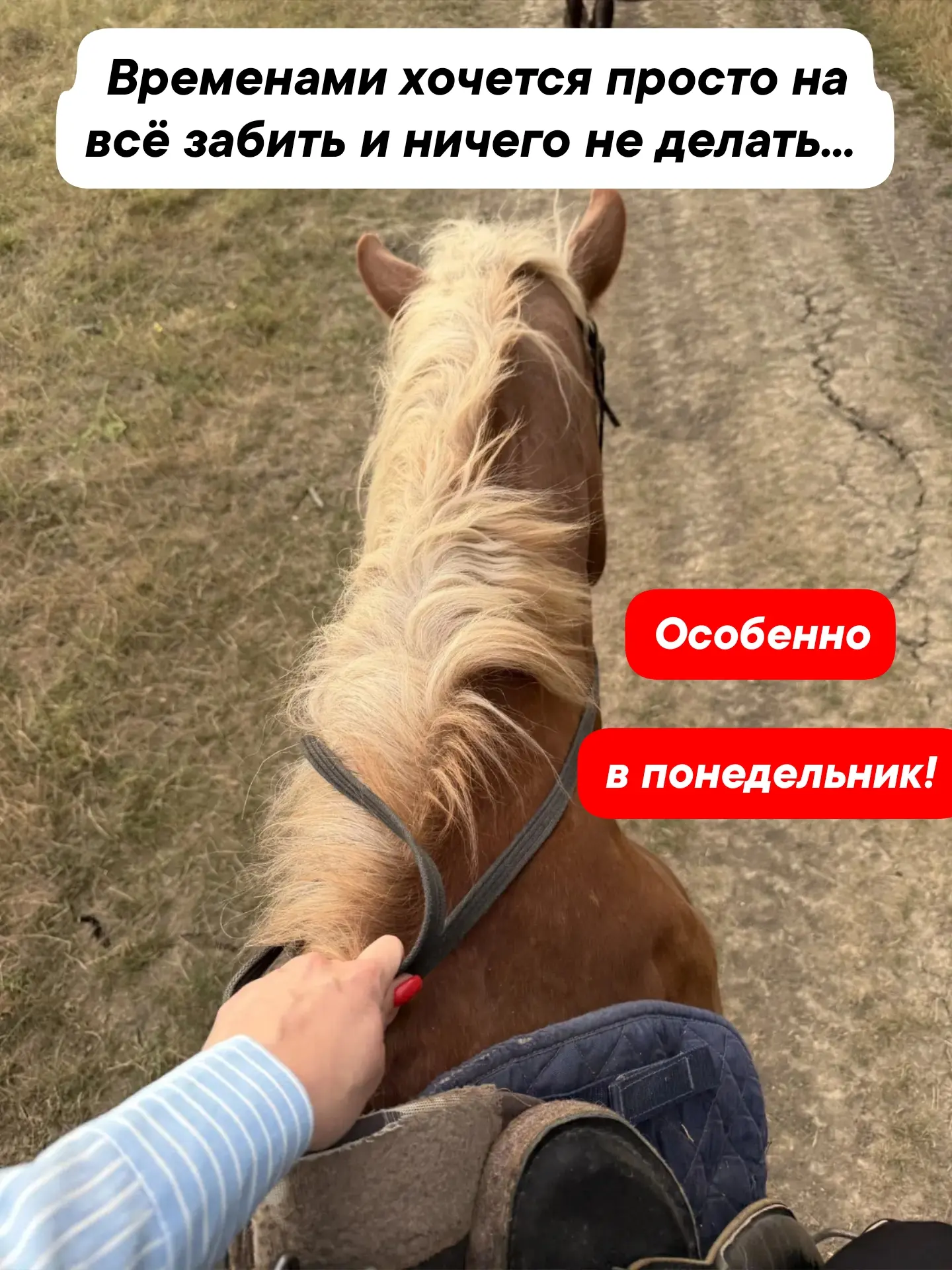 Понедельник!