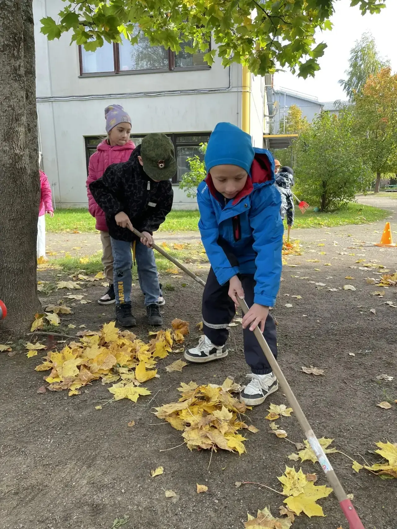 🍂 Осень пришла — нам работу принесла! 🍁