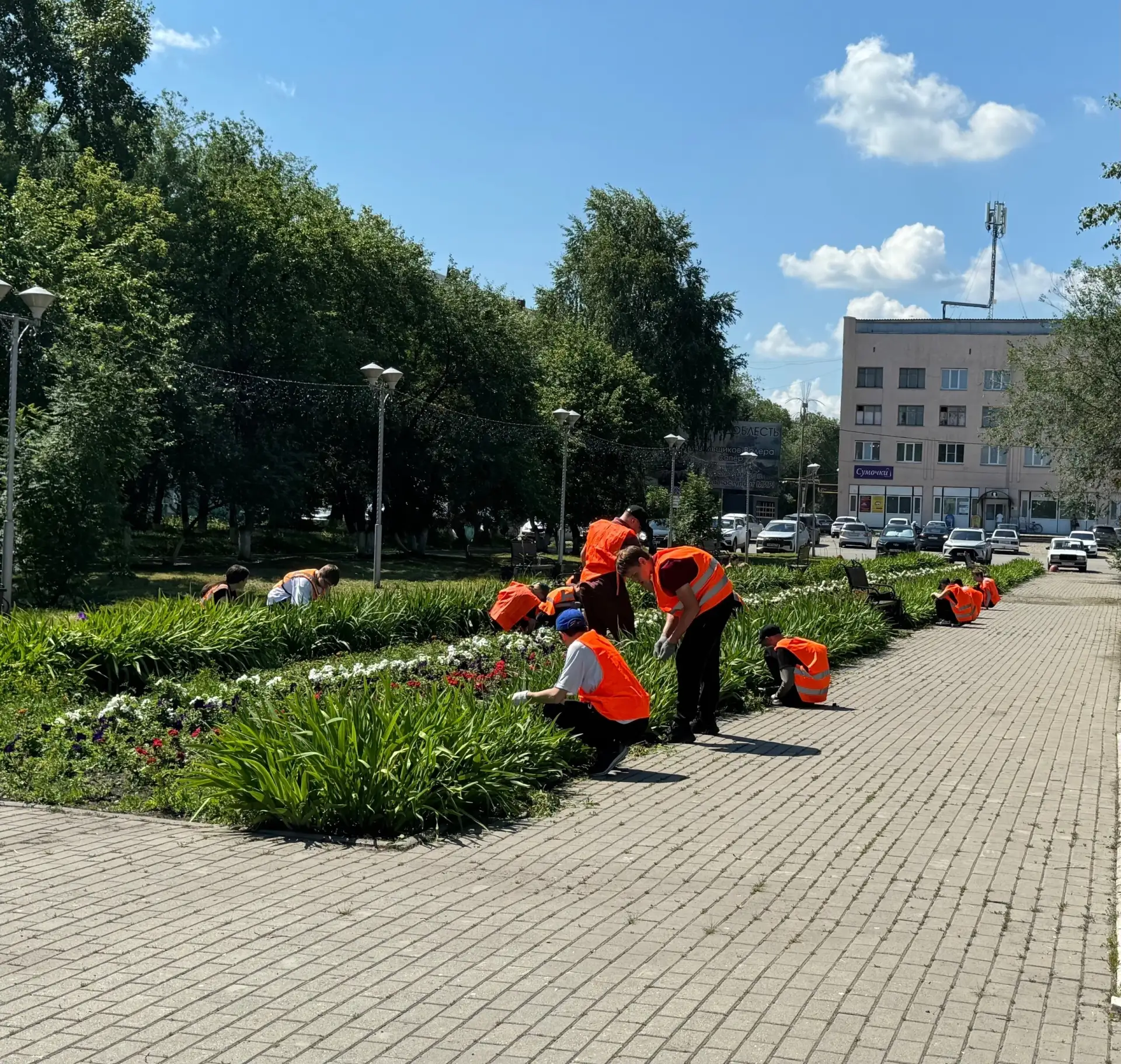 Лето с пользой: в Шумихинском муниципальном округе стартовали трудовые отряды для школьников!
В этом