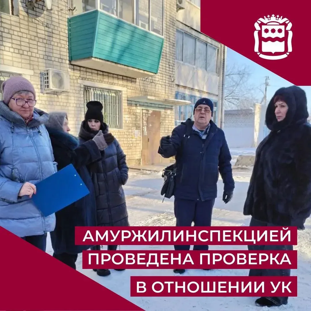 Государственной жилищной инспекцией Амурской области в отношении ООО «ЖСК» проведено контрольное (на
