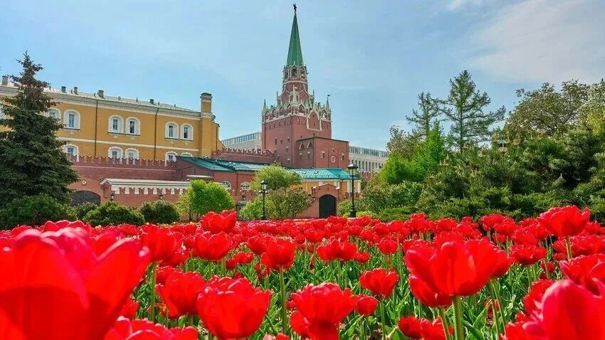 19 мая 2026 отмечает день рождения жительница Октябрьского района города Ставрополя - в...
