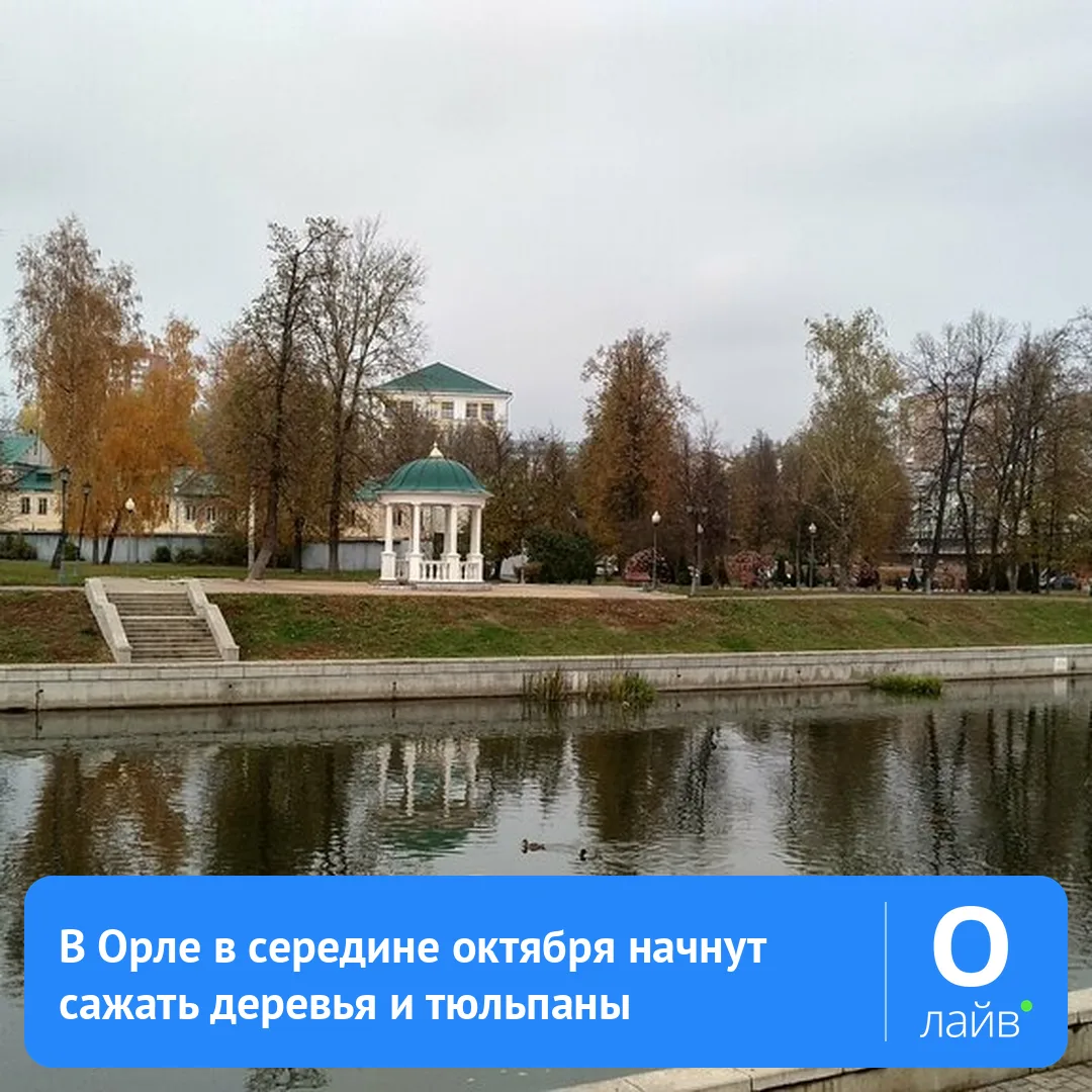 🌳 В Орле в середине октября начнут сажать деревья и тюльпаны