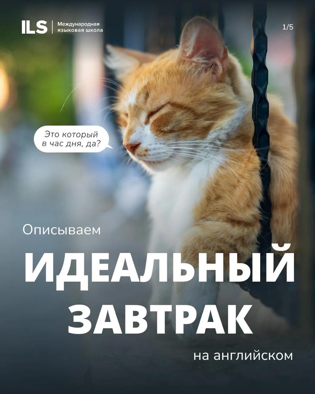 Что у вас было на завтрак? 🥞