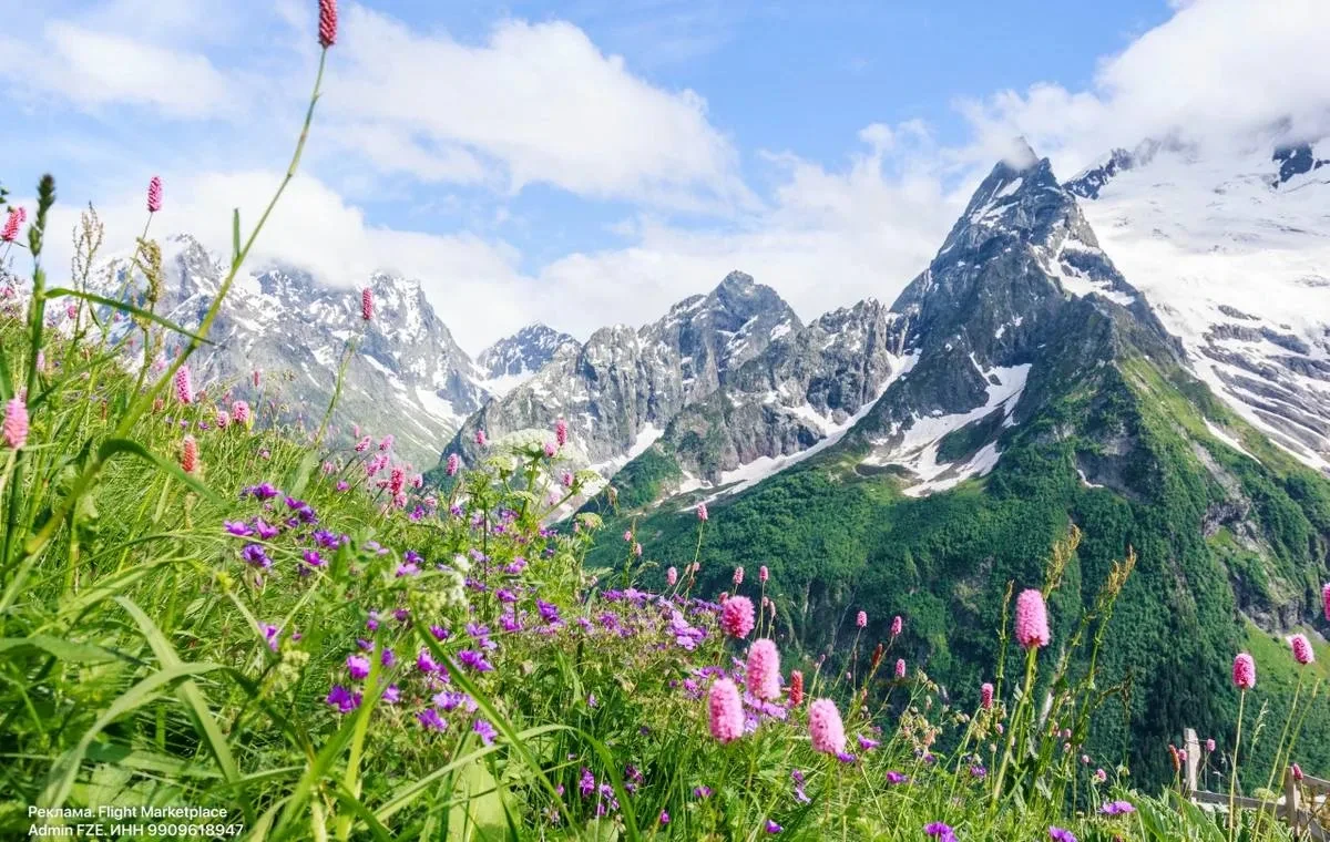 🌲Созвездие гор: курорты КМВ, Домбай, Архыз и Эльбрус