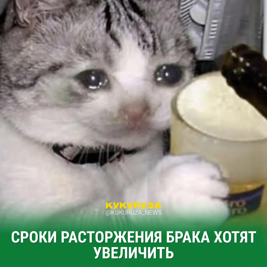 Поженились? Теперь фиг расстанетесь 😈

Власти хотят усложнить процедуру развода. Во-первых, за это 