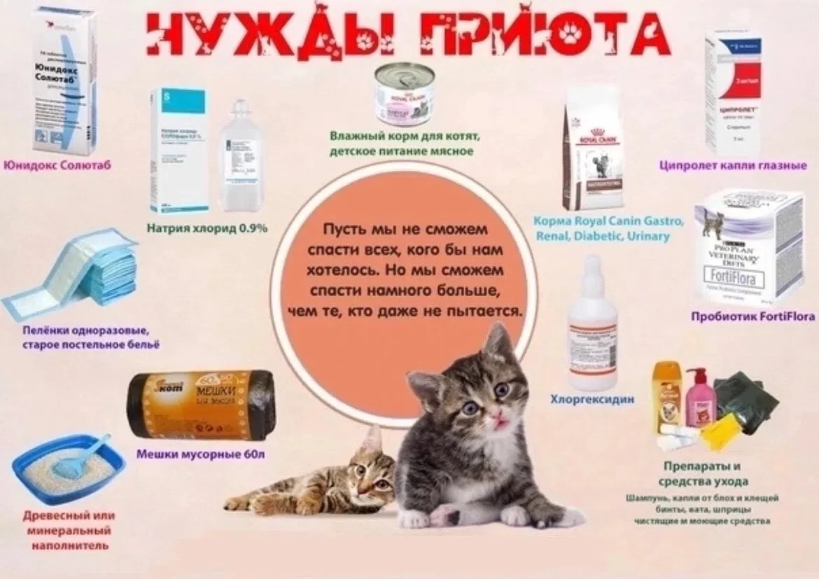 Старт благотворительной акции!