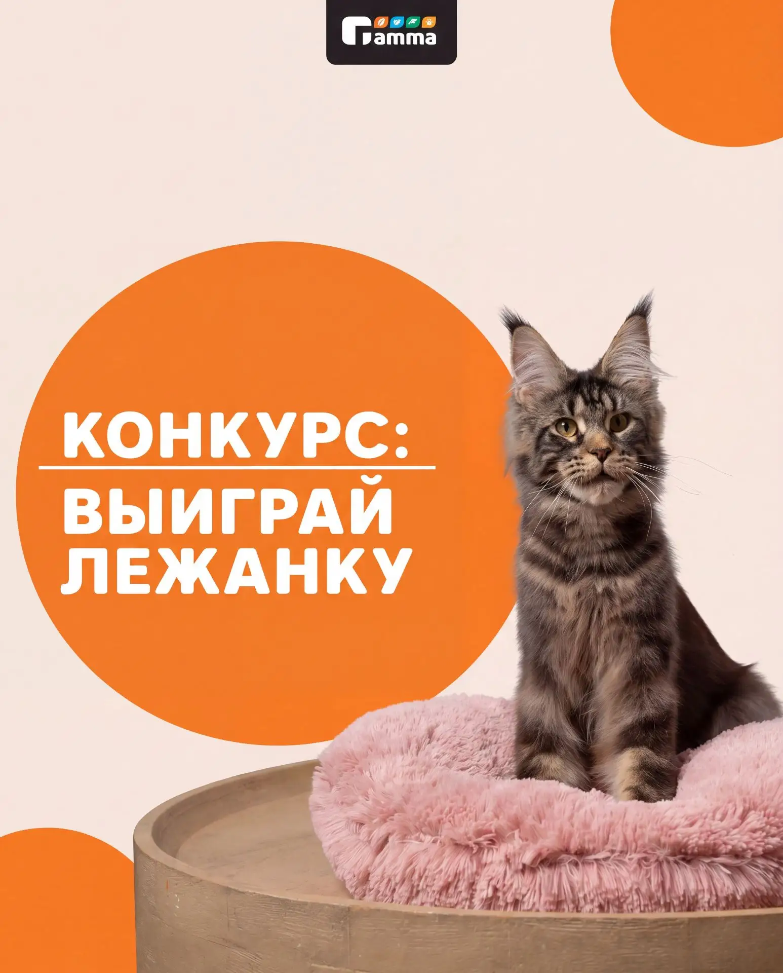 🔥ЖАРКИЙ ФОТОКОНКУРС🔥