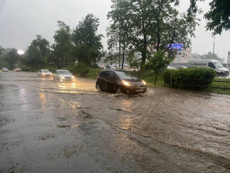 ☔️В Приморье этим летом высока вероятность выхода большого количества тайфунов на край — сообщили в 