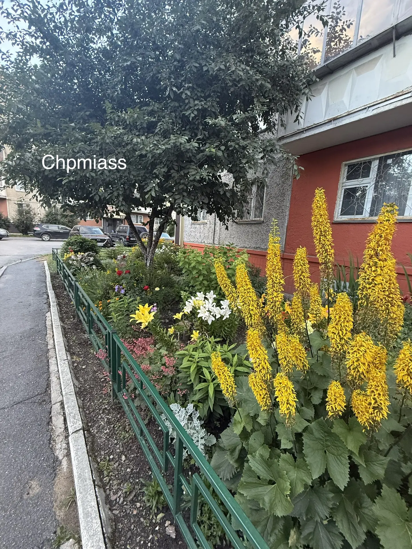 🌸 Красота под окнами: жители Миасса превращают свои дворы в цветущие оазисы

Гуляя по городу, прост
