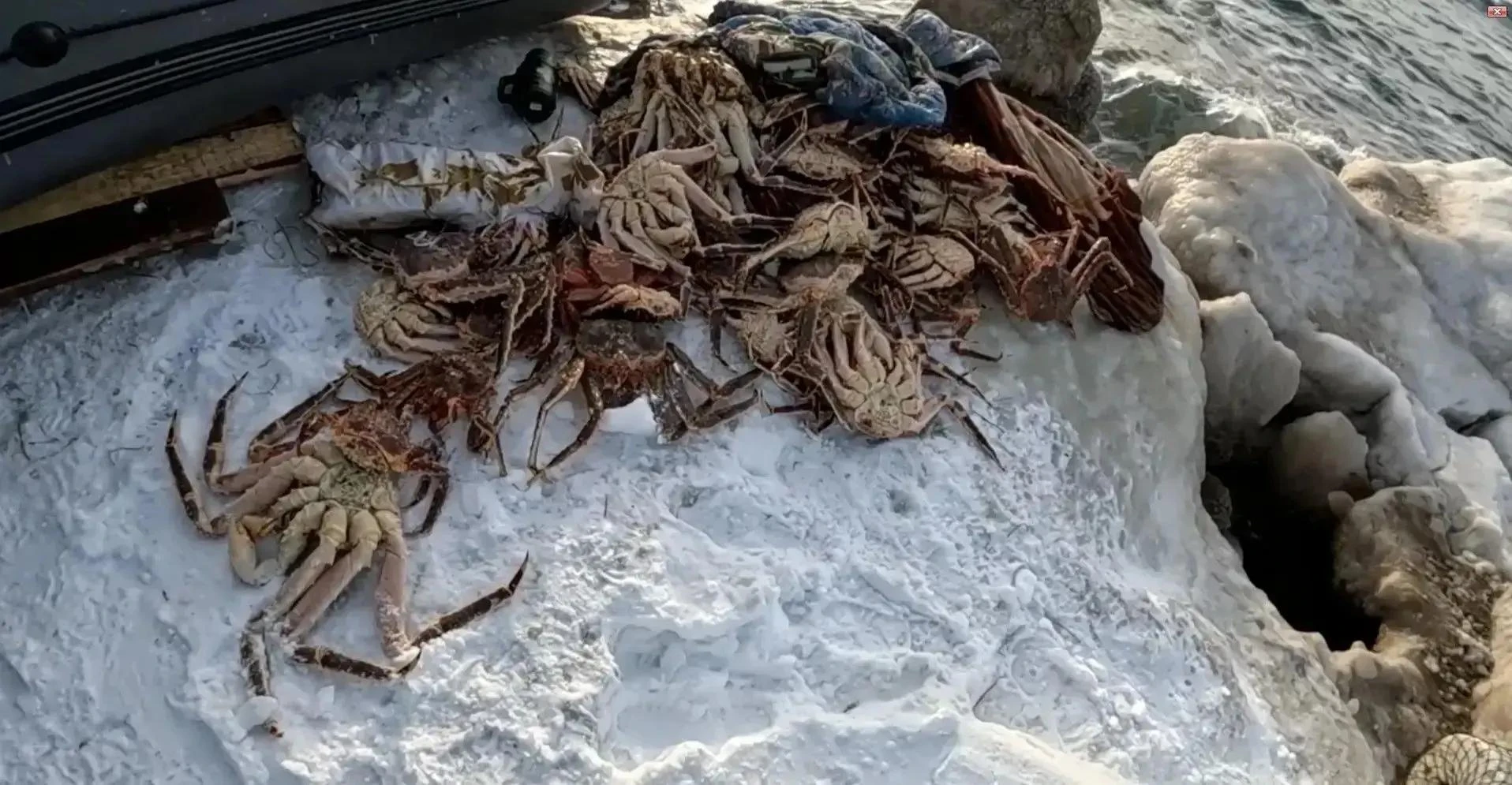 🦀 Двое сахалинцев получили условные сроки за незаконную добычу краба на 3,4 млн рублей