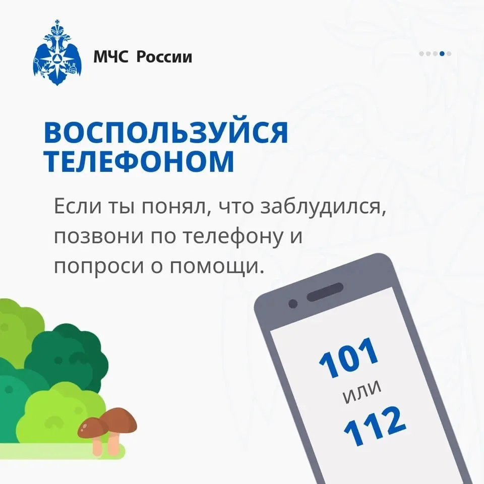 Изображение 4 к публикации «Раменское. Официально»