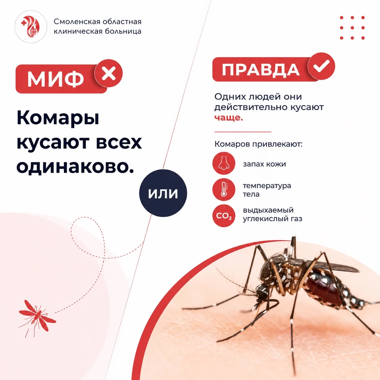 🌞 Эта неделя наконец обещает порадовать жителей Смоленской области теплом и солнцем! С...
