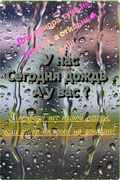 🌧 «Дождь? У настоящих доноров в планах не „отменить“, а „переиграть“ погоду!»