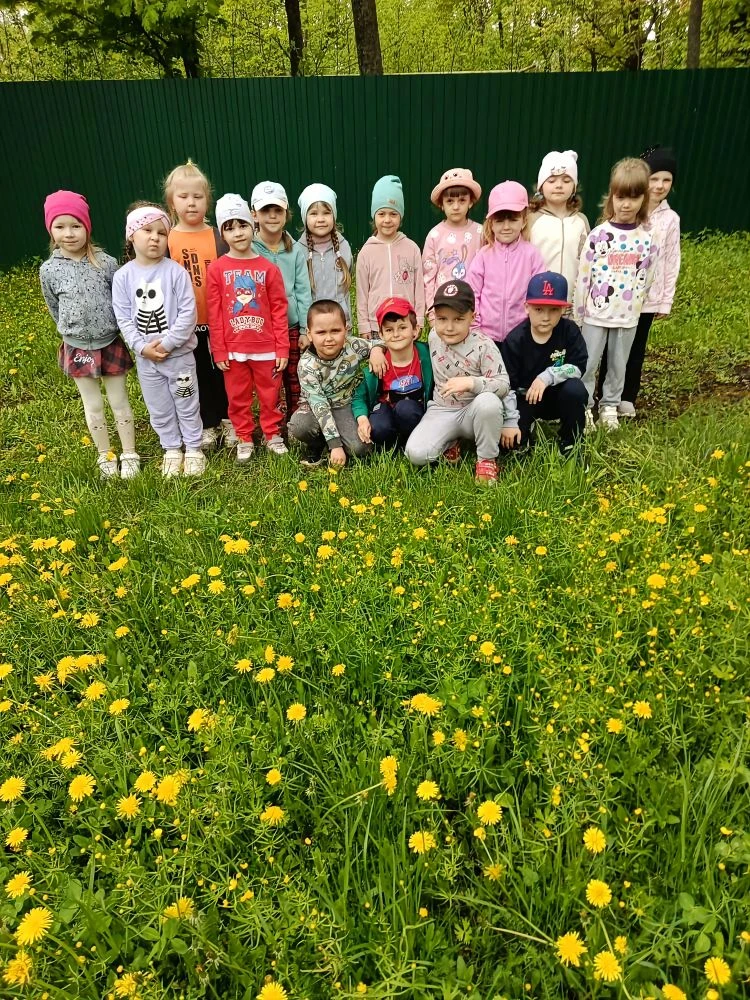 🌼 Экологическое воспитание🌼