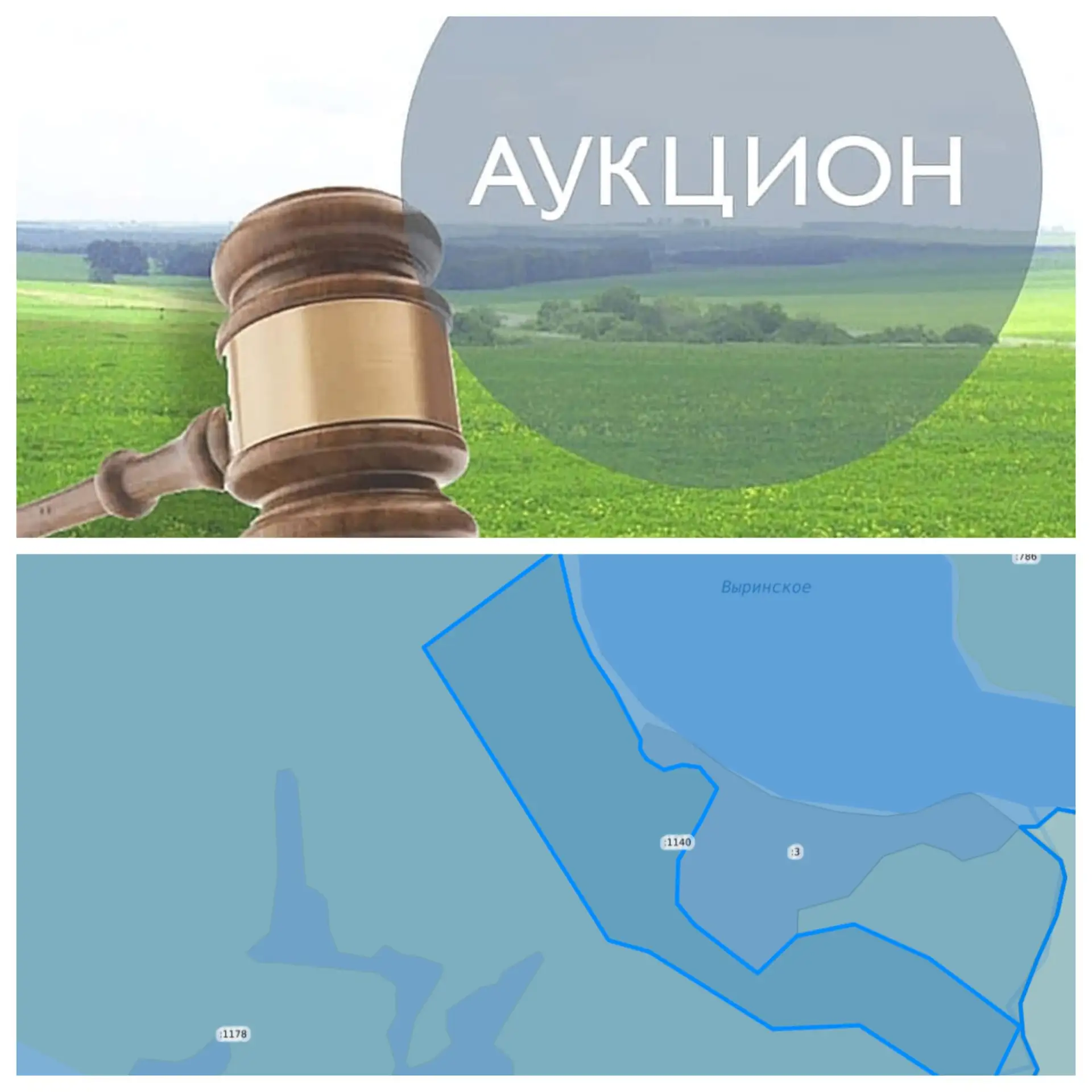 ✔️Аукцион на право заключения договора аренды земельного участка из земель сельскохозяй...