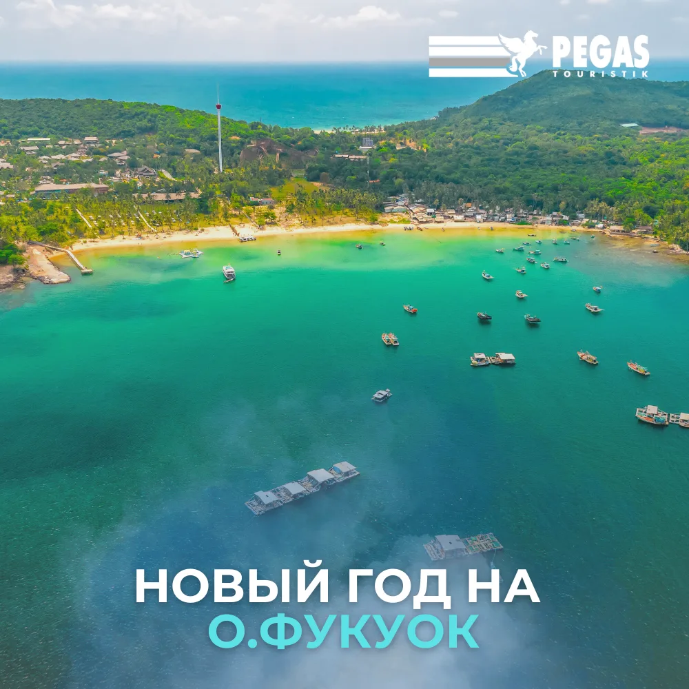 🎄 НОВЫЙ ГОД НА ФУКУОКЕ: А ПОЧЕМУ БЫ И НЕТ?
